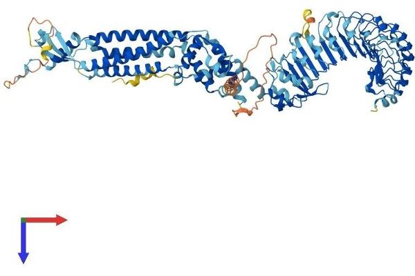 LRRC8E Protein (AA 1-796) (His tag)