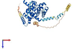 TBC1D20 Protein (AA 1-402) (His tag)