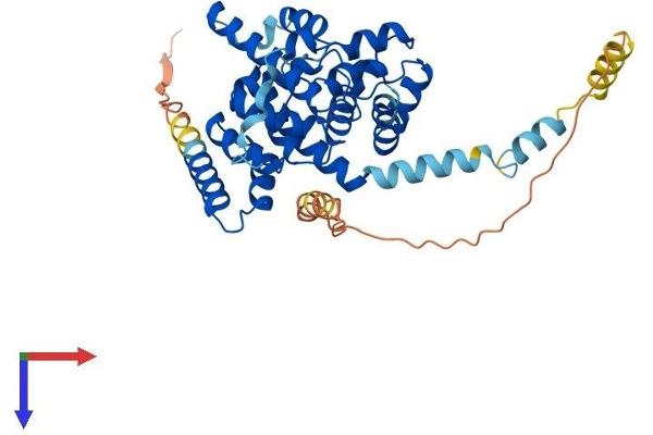 TBC1D20 Protein (AA 1-402) (His tag)