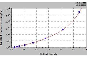 Typical Standard Curve (HMOX1 ELISA Kit)