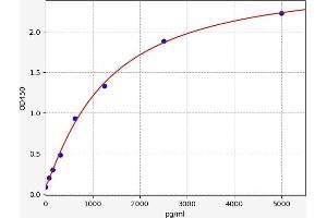 Triggering Receptor Expressed On Myeloid Cells 2 (TREM2) ELISA Kit