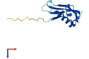 Protein Structure (PS) image for Chromosome 17 Open Reading Frame 103 (C17ORF103) (AA 1-110) protein (His tag) (ABIN7561305)