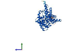 Protein Structure (PS) image for Solute Carrier Family 14 (Urea Transporter), Member 1 (Kidd Blood Group) (SLC14A1) (AA 1-389) protein (His tag) (ABIN7555978)