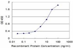 Detection limit for recombinant GST tagged SFN is approximately 0. (14-3-3 sigma/SFN Antikörper  (AA 1-248))