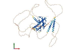 Protein Structure (PS) image for Prospero Homeobox 2 (PROX2) (AA 1-592) protein (His tag) (ABIN7551046)