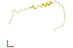 Protein Structure (PS) image for Prostate Cancer Susceptibility Candidate (PRAC) (AA 1-57) protein (Fc Tag) (ABIN7550920)