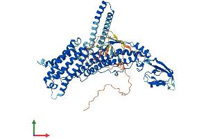 AlphaFold protein structure predicition of Mouse Recombinant Rhpn2 Protein, UniprotID Q8BWR8