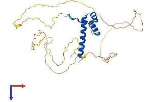 HOXC12 Protein (AA 1-282) (His tag)
