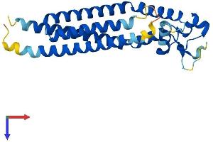 Tetraspanin 6 Protein (TSPAN6) (AA 1-245) (His tag)