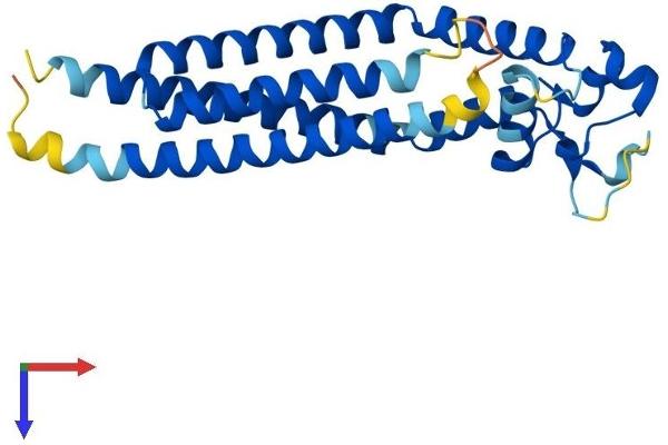 Tetraspanin 6 Protein (TSPAN6) (AA 1-245) (His tag)