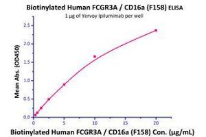 Immobilized Yervoy Ipilumimab at 10μg/mL (100 µl/well),can bind Biotinylated Human FCGR3A / CD16a (F158) (Cat# CDA-H82E8) with a linear of 0. (FCGR3A Protein (AA 17-208) (His tag,AVI tag,Biotin))