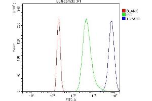 Flow Cytometry analysis of RAW264. (Tspan-8 Antikörper  (AA 108-203))