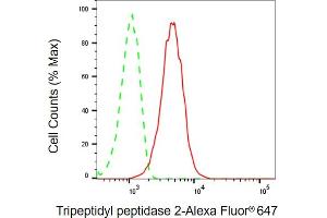 Flow cytometric analysis of Tripeptidyl peptidase 2 expression in C2C12 cells using Tripeptidyl peptidase 2 antibody (ABIN7800646), 1:2,000).