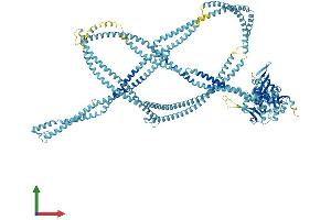 Protein Structure (PS) image for RAD50 Homolog (S. Cerevisiae) (RAD50) (AA 1-1312) protein (His tag) (ABIN7563526)