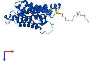 AlphaFold protein structure predicition of Mouse Recombinant Mip Protein, UniprotID P51180