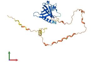 Protein Structure (PS) image for WW Domain Binding Protein 2 (WBP2) (AA 1-261) protein (His tag) (ABIN7545111)