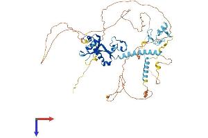 CNOT4 Protein (AA 1-575) (His tag)