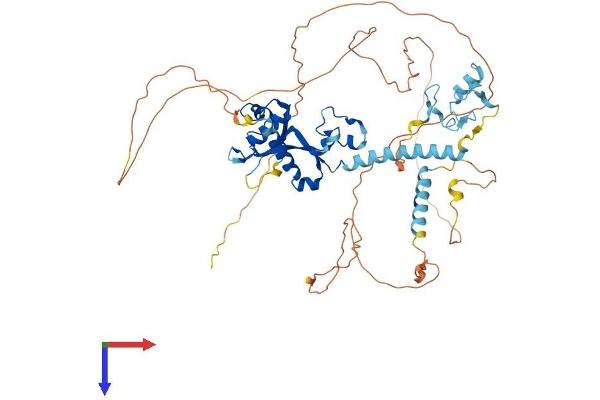 CNOT4 Protein (AA 1-575) (His tag)