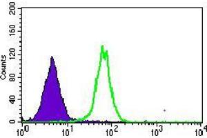Flow cytometric analysis of HepG2 cells using MRPL42 mouse mAb (green) and negative control (purple). (MRPL42 Antikörper  (AA 142-203))