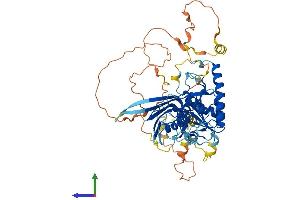 AlphaFold protein structure predicition of Mouse Recombinant Donson Protein, UniprotID Q9QXP4