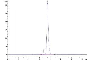 The purity of Biotinylated Human CD163 is greater than 95 % as determined by SEC-HPLC. (CD163 Protein (CD163) (AA 42-1045) (His-Avi Tag,Biotin))