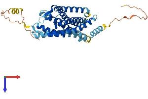 CXCR3 Protein (AA 1-367) (His tag)