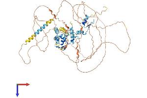 ZBTB5 Protein (AA 1-677) (His tag)