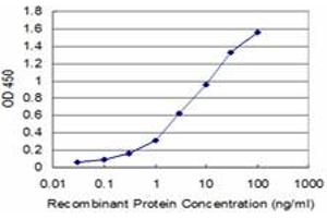 Detection limit for recombinant GST tagged BARX1 is approximately 0. (BARX1 Antikörper  (AA 1-100))