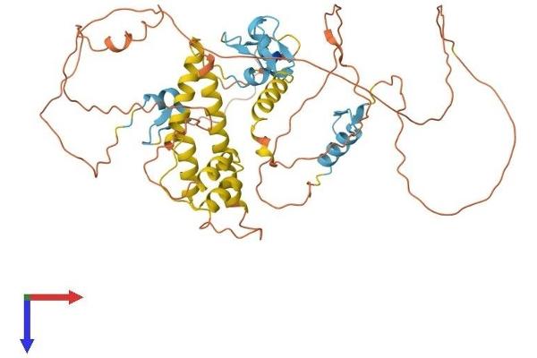 ZBTB2 Protein (AA 1-514) (His tag)