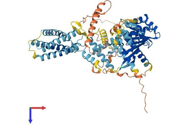DAGLB Protein (AA 1-669) (His tag)