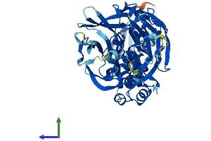 Protein Structure (PS) image for Kelch Repeat and BTB (POZ) Domain Containing 13 (KBTBD13) (AA 1-458) protein (His tag) (ABIN7559192)