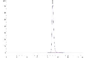 Size-exclusion chromatography-High Pressure Liquid Chromatography (SEC-HPLC) image for Prolactin Receptor (PRLR) (AA 20-229) protein (His tag) (ABIN7275469)