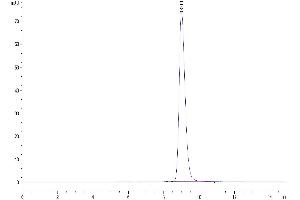 The purity of Mouse PRLR is greater than 95 % as determined by SEC-HPLC. (Prolactin Receptor Protein (PRLR) (AA 20-229) (His tag))