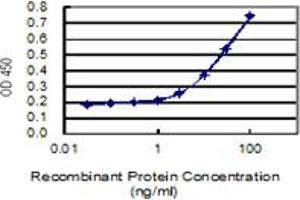 ELISA image for anti-Tyrosine Kinase 2 (TYK2) (AA 276-375) antibody (ABIN563303)