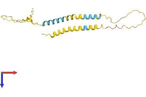 AlphaFold protein structure predicition of Human Recombinant C20orf141 Protein, UniprotID Q9NUB4