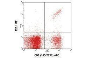 Flow Cytometry (FACS) image for anti-V alpha 2 TCR antibody (PE) (ABIN2663906) (V alpha 2 TCR Antikörper (PE))