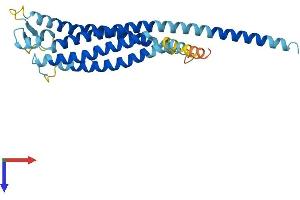 GPM6A Protein (AA 1-278) (His tag)