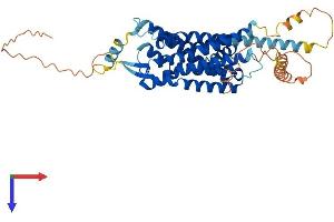 HCRTR2 Protein (AA 1-460) (His tag)