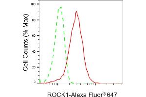 Flow cytometric analysis of ROCK1 expression in HepG2 cells using ROCK1 antibody (ABIN7800202), 1:2,000). (Rekombinanter ROCK1 Antikörper)