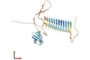 Protein Structure (PS) image for Deleted In Azoospermia 3 (DAZ3) (AA 1-486) protein (His tag) (ABIN7546986)