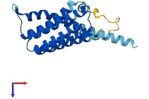 CDIPT Protein (AA 1-213) (His tag)