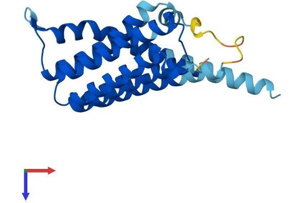 CDIPT Protein (AA 1-213) (His tag)