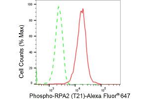 Flow cytometric analysis of Phospho-RPA2 (T21) expression in HepG2 cells using Phospho-RPA2 (T21) antibody (ABIN7800175), 1:2,000).