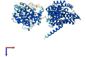 ACAD11 Protein (AA 1-780) (His tag)