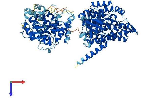 ACAD11 Protein (AA 1-780) (His tag)
