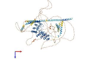 PPP1R12B Protein (AA 1-982) (His tag)