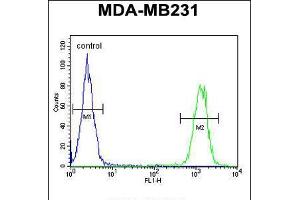 Flow Cytometry (FACS) image for anti-Killer Cell Immunoglobulin-Like Receptor, Two Domains, Long Cytoplasmic Tail, 2 (KIR2DL2) (AA 263-291), (C-Term) antibody (ABIN5533883)