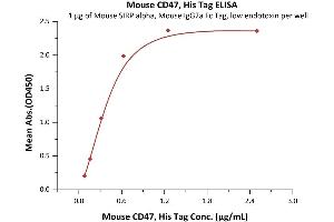 ELISA image for CD47 (CD47) (AA 19-140) (Active) protein (His tag) (ABIN6253634)