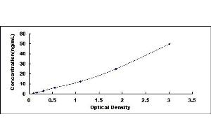 Typical standard curve (TAGLN2 ELISA Kit)