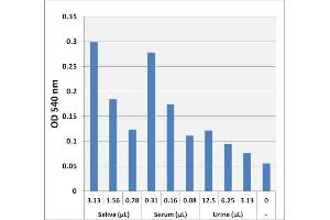 Biochemical Assay (BCA) image for Lactate Assay Kit (Colorimetric) (ABIN5067557)